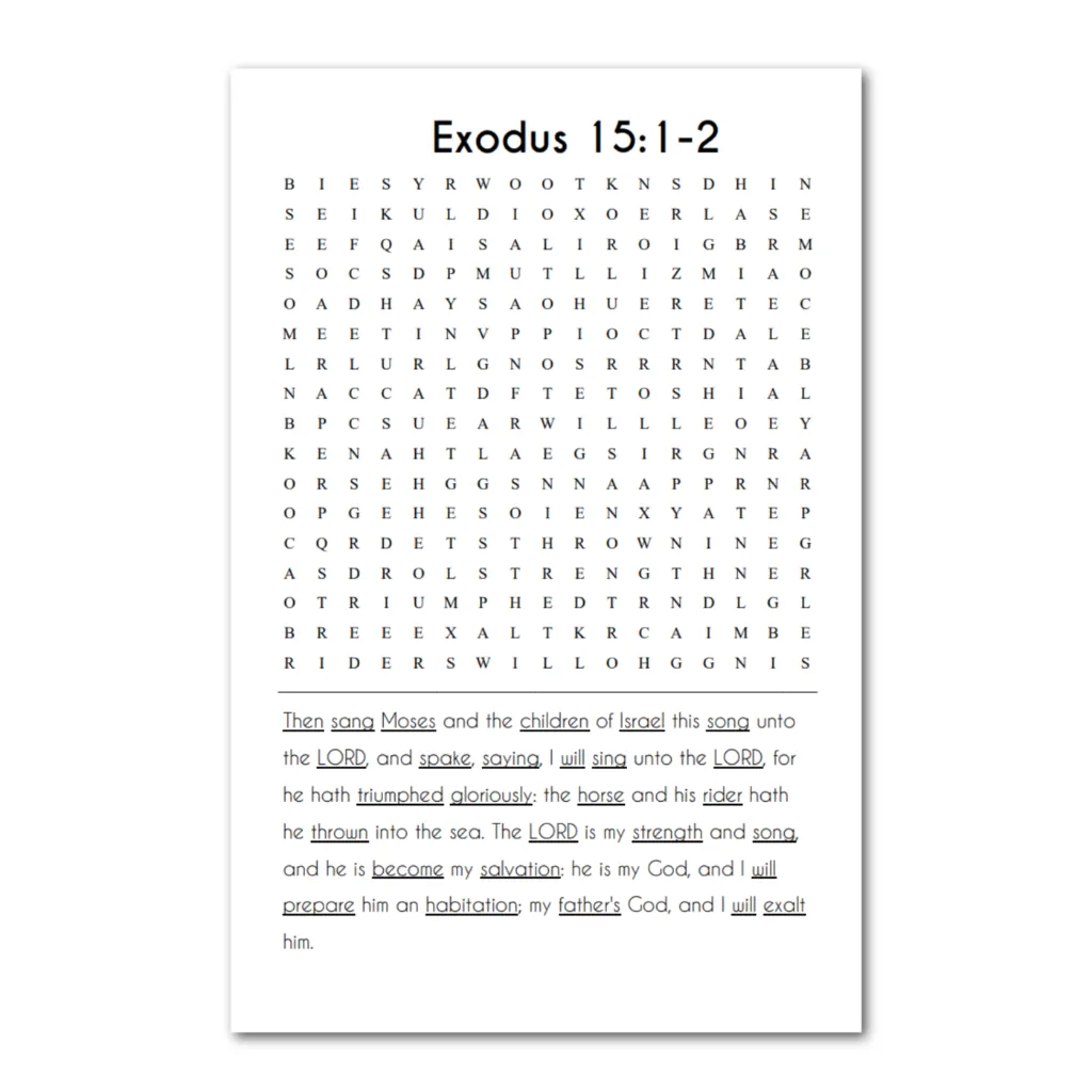 ST Exodus 2 puzzle.webp