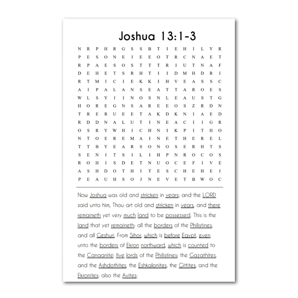 ST Joshua 2 puzzle.webp