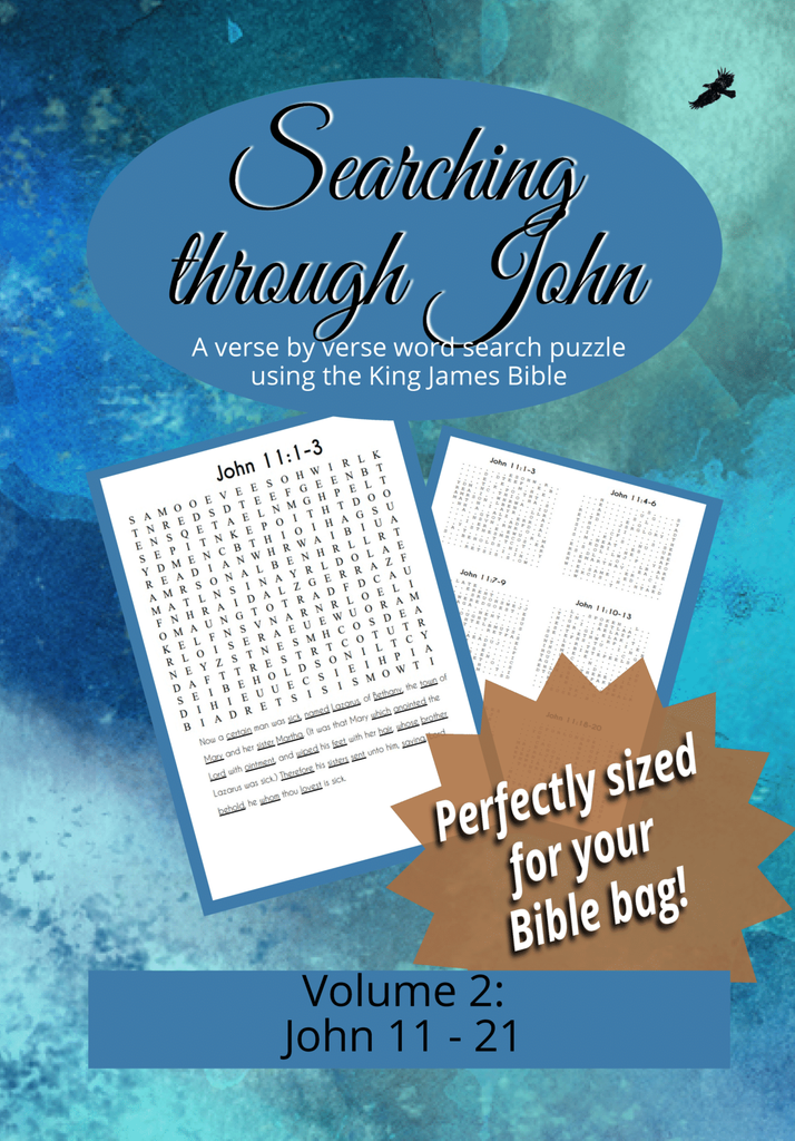 Searching through John (6"x9"): Chapters 11-21