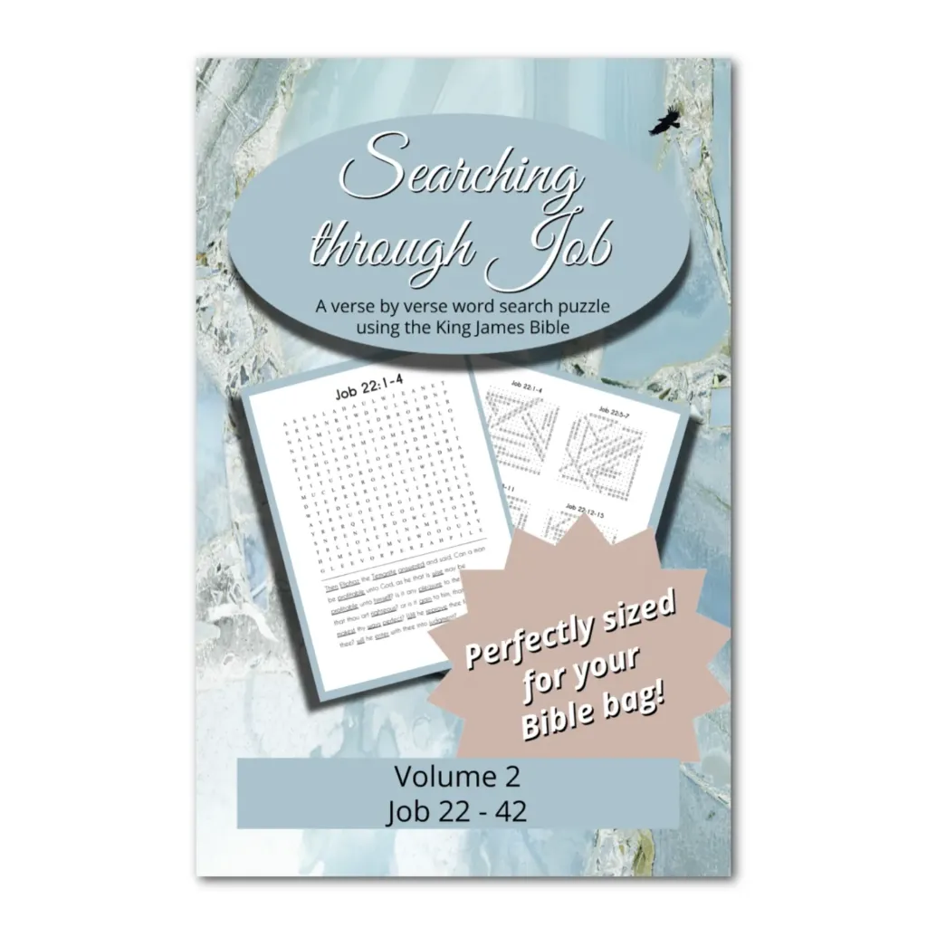 Searching Through Job: Chapters 22-42